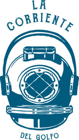 Logo principal (color, fondo claro)